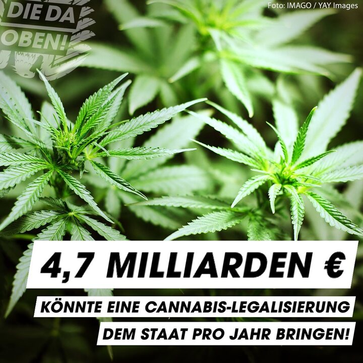 funk | Leute, so nah an einer Cannabis-Legalisierung ware...
